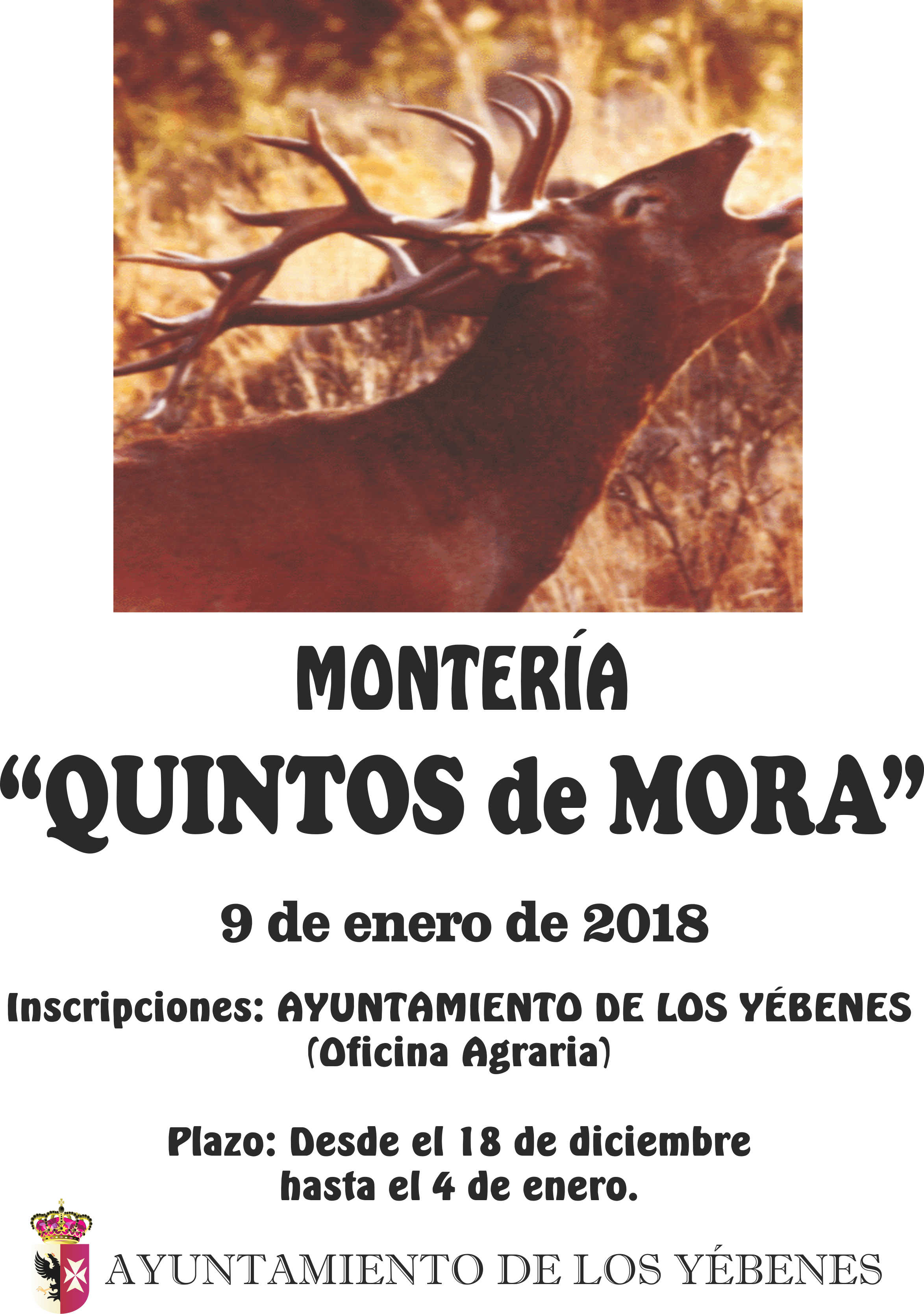 Montería Quintos de Mora 2018